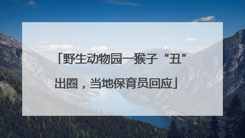 野生动物园一猴子“丑”出圈，当地保育员回应